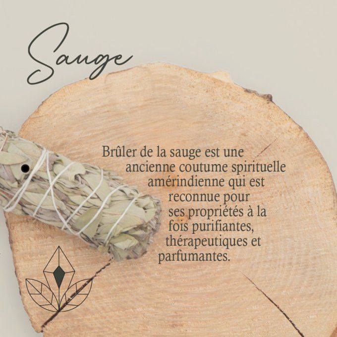 BÂTON DE SAUGE BLANCHE 7 CHAKRAS 100MM - 1 pièce